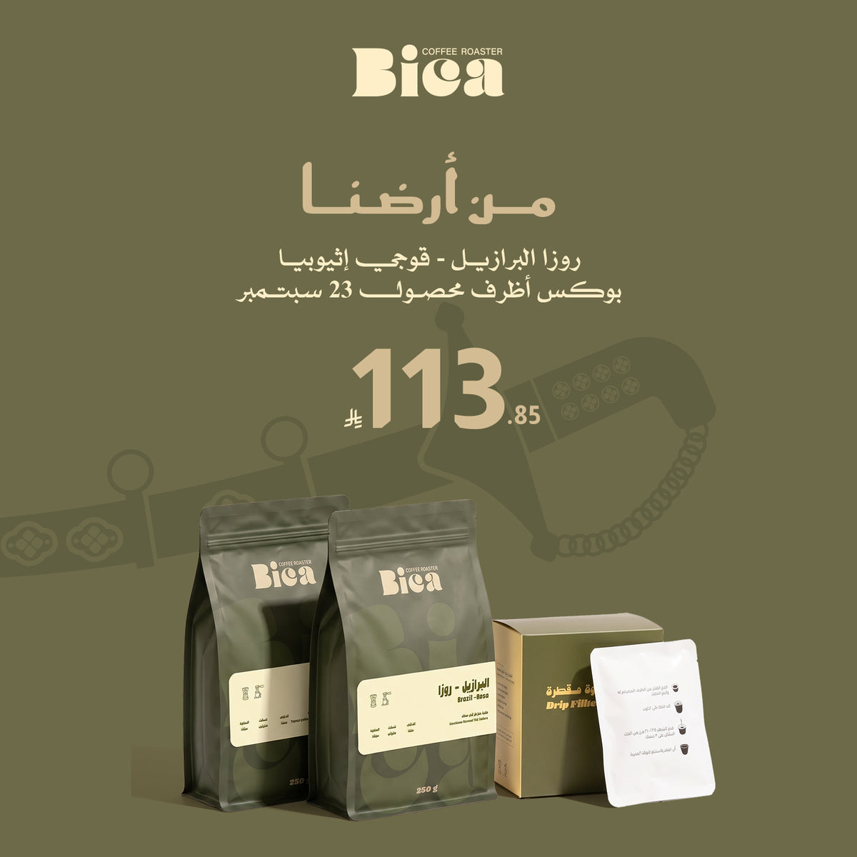 باقات اليوم الوطني