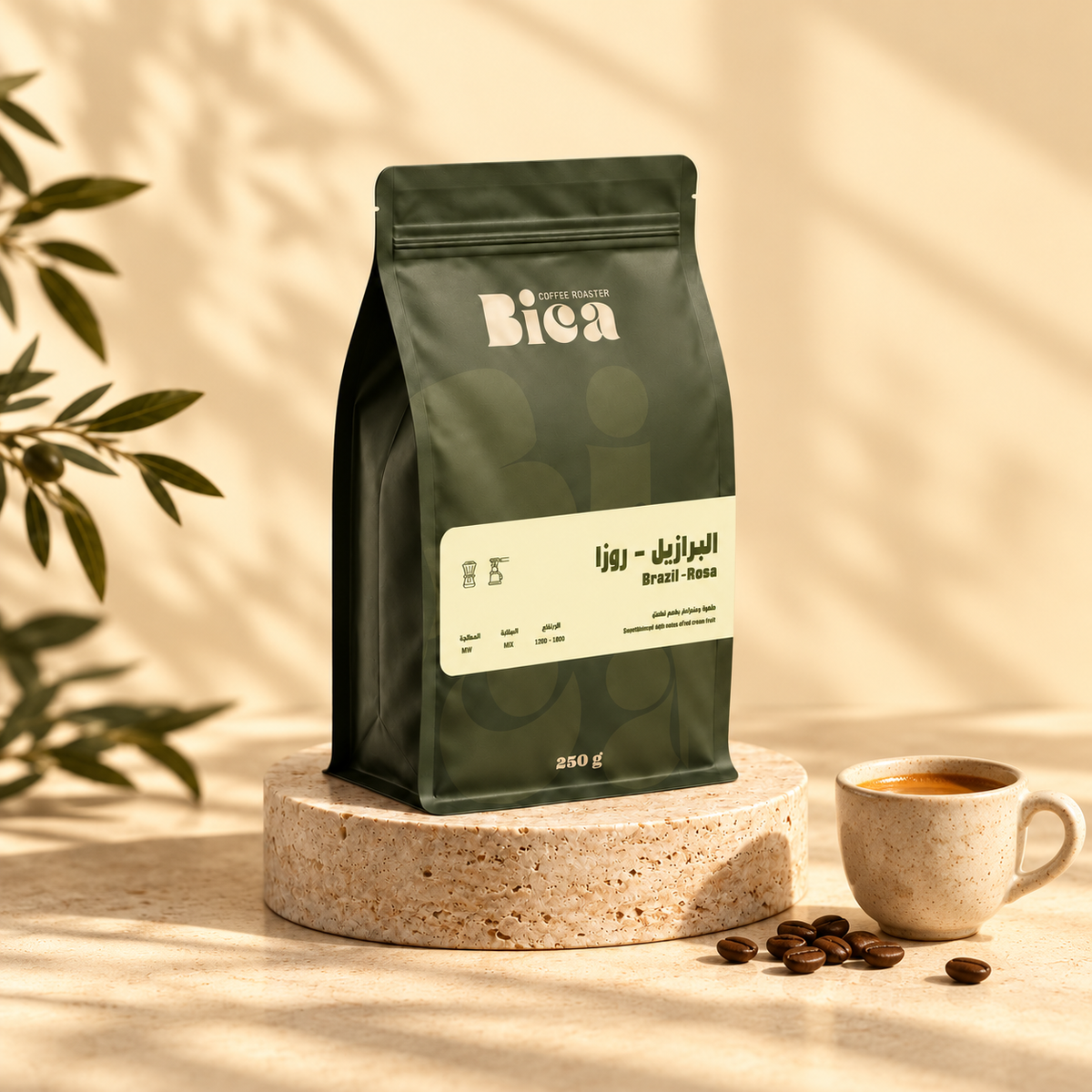 كوبك الكلاسيكي
