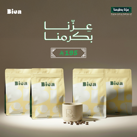 عرض اليوم الوطني